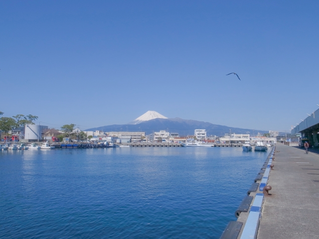 沼津港から望む富士山